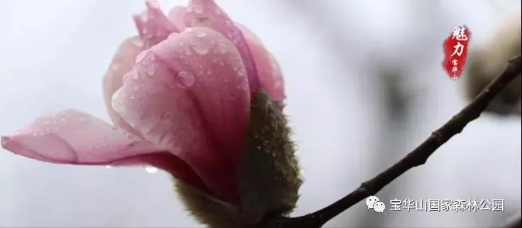 /website-webapp/ewebeditor/uploadfile/20190214102538328001