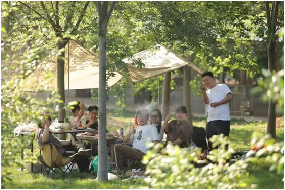 茅山风景区:中药材种植与研学“混搭”  助力乡村焕发新生机