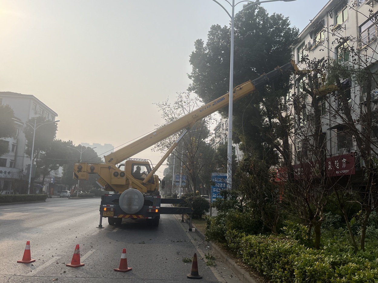 华阳街道：精修城市“绿脉络” 安全舒美焕新颜