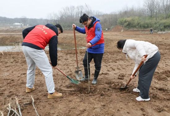 句容下蜀镇开展“携手植新绿 同心美家园”植树活动