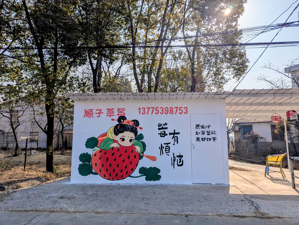 华阳街道：“彩绘亭”赋能乡村振兴 “微创意”扮靓乡村颜值