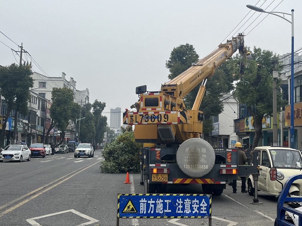 枝叶“瘦身”解民忧 华阳街道精准修剪树木护安全