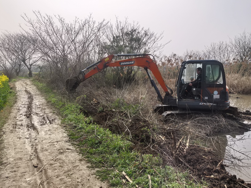 华阳街道：水利路网齐升级 绘就农收好“丰”景