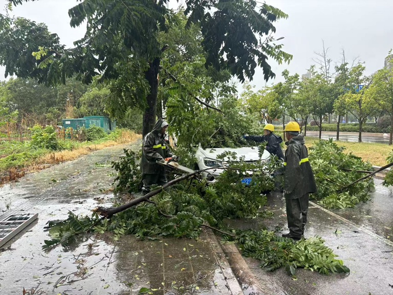 华阳街道全力筑牢台风天气安全防护网
